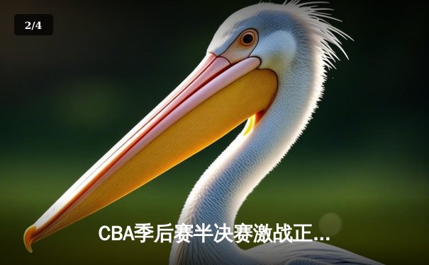 CBA季后赛半决赛激战正酣 广东东莞大益队加时险胜辽宁本钢队 - 2